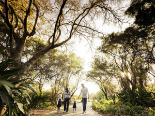 <img src="familyshoot.jpg" alt="Family shoot in Pretoria Botanical Gardens">