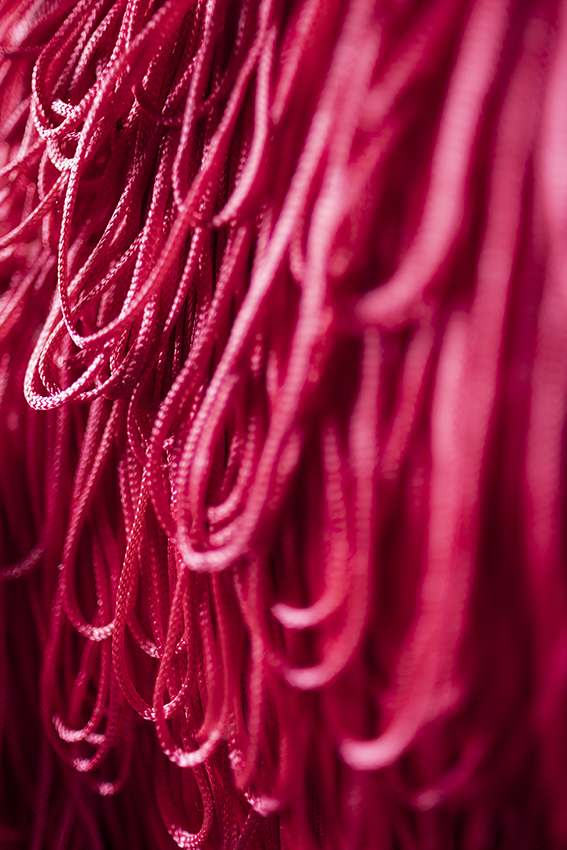 The pink textures of the Loci Photography studio in Pretoria